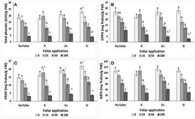 Physiological and Biochemical Responses of Lavandula angustifolia to Salinity Under Mineral Foliar Application